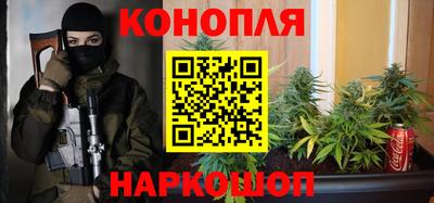 стаф Дубна