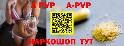 стаф Дубна