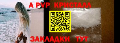 стаф Дубна