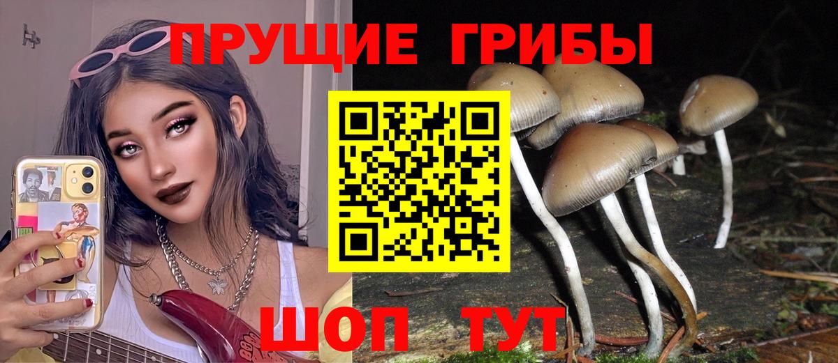 Псилоцибиновые грибы Psilocybe  Псилоцибиновые грибы GOLDEN TEACHER  Истра  Вход с VPN 